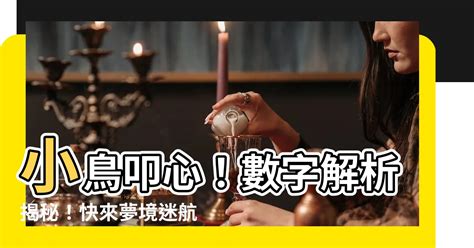 小鳥代表幾號|如何了解小鳥代表數字的含義？